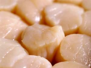 1 Oz Of Steamed or Boiled Scallops