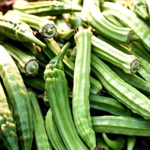 1 Oz Okra
