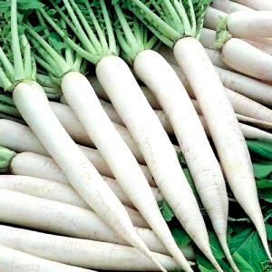 1 Oz Oriental Radishes