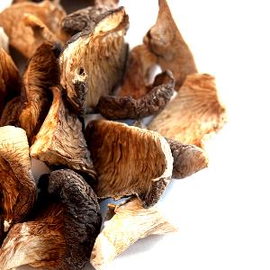 1 Oz Oyster Mushroom