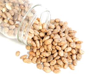 1 Oz Pinto Beans (Mature Seeds)