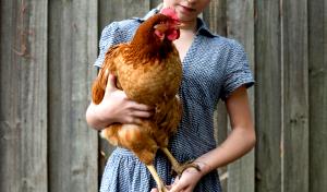 1 Oz Poultry From Mature Hens