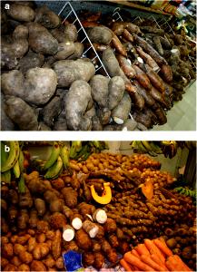 1 Oz Puerto Rican Style Starchy Vegetables (Viandas)