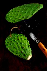 1 Oz, Raw, With Peel (yield After Cooking, Peel Removed) Cooked Cactus (Fat Added in Cooking)