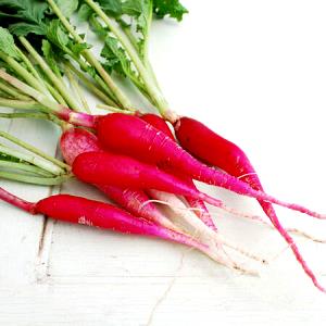 1 Oz, Raw, Yields Radish