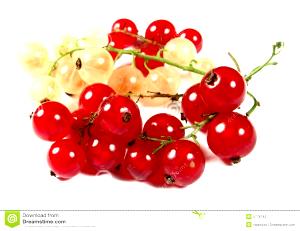 1 Oz Red and White Currants