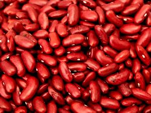 1 Oz Red Kidney Beans (Without Salt, Cooked, Boiled)