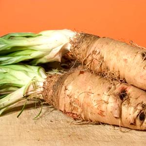 1 Oz Salsify (Vegetable Oyster)