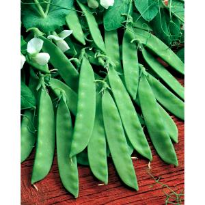 1 Oz Snowpeas (Pea Pod)