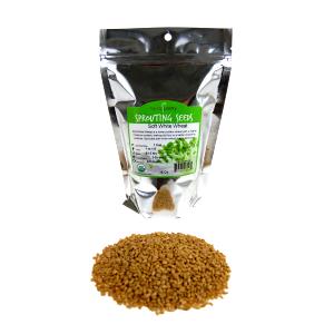 1 Oz Soft White Wheat