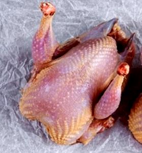 1 Oz Squab (Pigeon) Meat