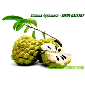 1 Oz Sugar-Apples (Sweetsop)