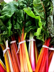1 Oz Swiss Chard (Without Salt, Drained, Cooked, Boiled)