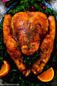 1 Oz Turkey Back Meat and Skin (Young Hen, Cooked, Roasted)