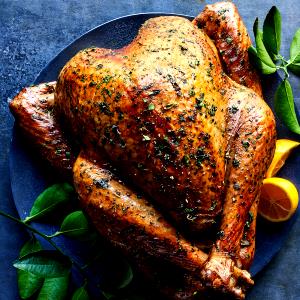 1 Oz Turkey Dark Meat and Skin (Cooked, Roasted)