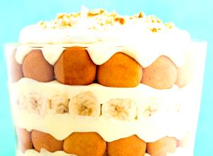 1 Oz Vanilla Wafer Dessert Base