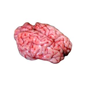 1 Oz Veal Brain, Raw
