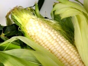1 Oz White Sweet Corn