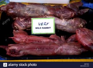 1 Oz Wild Rabbit Meat