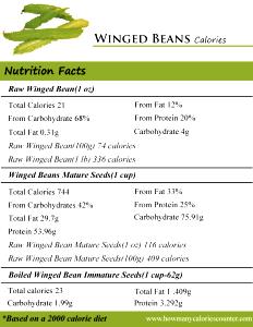 1 Oz Winged Beans (Immature Seeds)