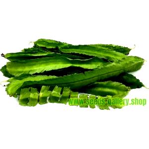 1 Oz Winged Beans (Mature Seeds)