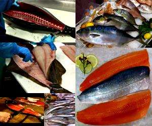 1 Oz, With Bone (yield After Cooking, Bone Removed) Sea Bass