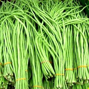 1 Oz Yardlong Bean