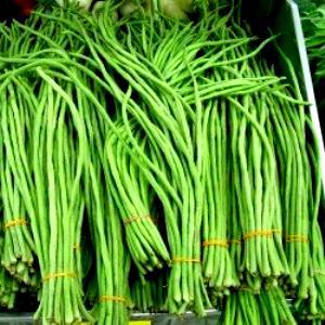 1 Oz Yardlong Beans (Mature Seeds, with Salt, Cooked, Boiled)