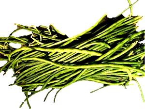 1 Oz Yardlong Beans (Mature Seeds)