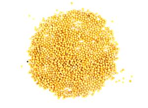 1 Oz Yellow Mustard Seed