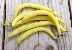 1 Oz Yellow Snap Beans