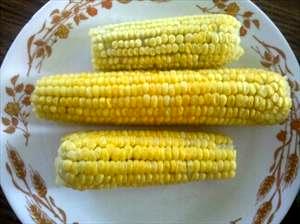 1 Oz Yellow Sweet Corn (Kernels On Cob, Without Salt, Frozen, Drained, Cooked, Boiled)