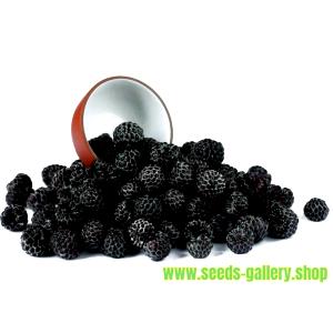 1 Oz Yields Black Raspberries