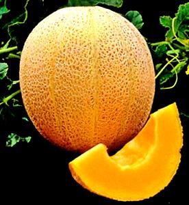 1 Oz Yields Cantaloupe (Muskmelon)