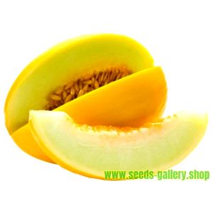 1 Oz Yields Honeydew Melon