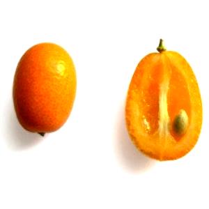 1 Oz Yields Kumquat
