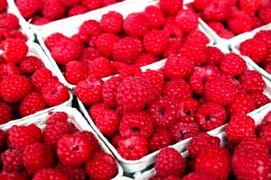 1 Oz Yields Red Raspberries