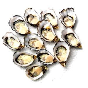1 Pacific Oysters