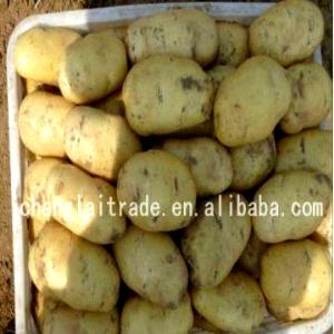 1 package (30 g) Potato Zippers