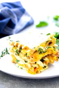 1 package (307 g) Butternut Squash Lasagna