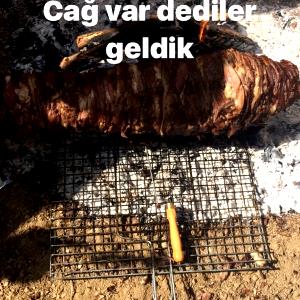 1 package (56 g) Barbecue Beef Steak