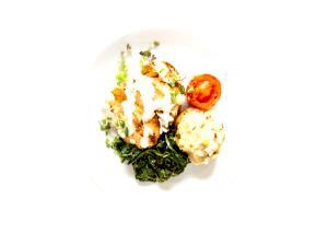 1 package Mediterranean Chicken w/ Zesty Lemon Dill Sauce (Standard)
