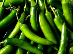 1 Pepper Serrano Pepper