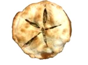 1 Piece (1/8 9" Dia) Pie