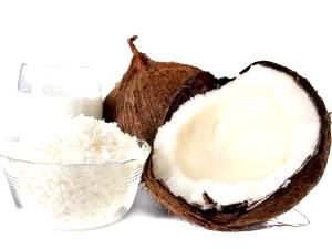 1 Piece (2" X 2" X 1/2") Coconut Meat