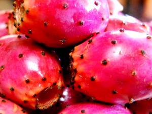 1 Piece (7.5 G) Prickly Pear, cooked