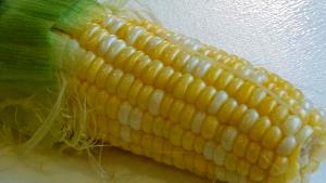1 piece (85 g) Corn on The Cob