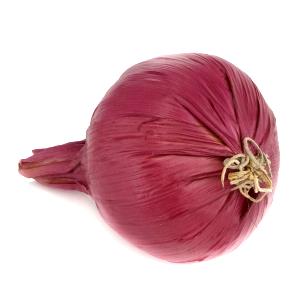 1 piece Encrusted Onion & Herb Chicken Fillets