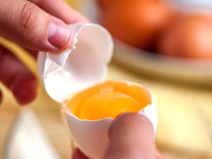 1 piece, large (17.0 g) Egg Yolk, raw