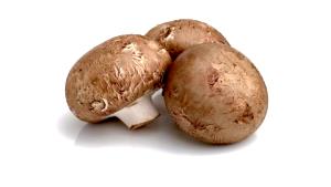 1 Piece Mushroom, Brown, Italian, Raw